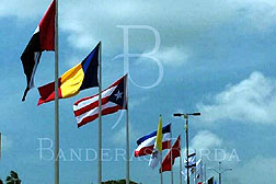 Banderas para exterior, Banderas Borda